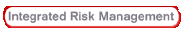 integratedriskmanagement